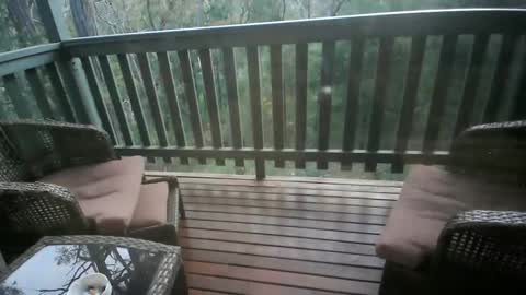 Intenseduo online show from 11-14-25, 09:19