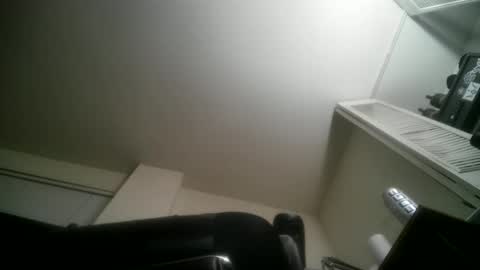 11inchtattedtrinibad online show from 03-24-26, 10:20