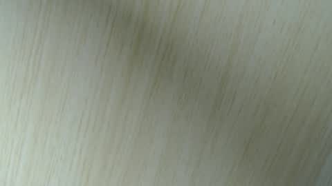 Aurora Willows online show from 04-18-26, 02:48