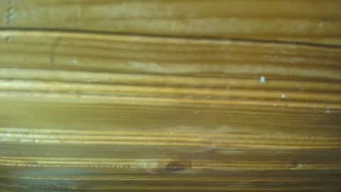 Snapshot of 19carla chatting on 02-21-25, 11:44 Carl the good girl online show from 02-21-25, 11:44