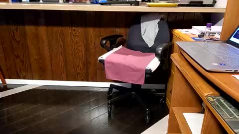 Snapshot of 1hotcrossdresser chatting on 01-04-25, 10:24 Brianna online show from 01-04-25, 10:24