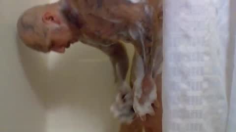 Snapshot of 1nastya8 chatting on 03-04-26, 07:25 TheShyOne18 online show from 03-04-26, 07:25