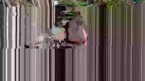 BiHungThickCock69 online show from 03-02-26, 09:32