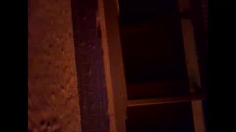 1st___ online show from 03-01-26, 05:53