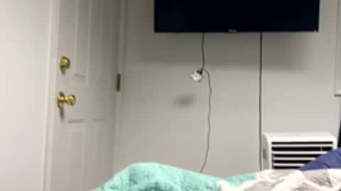 Snapshot of 20yrold2001 chatting on 03-17-26, 09:51 20yrold2001 online show from 03-17-26, 09:51