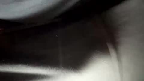 Snapshot of 24robin chatting on 02-05-26, 08:46 24robin online show from 02-05-26, 08:46