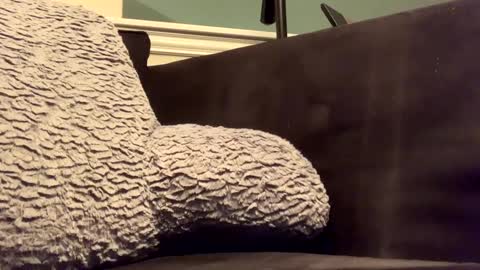 25923 online show from 01-14-25, 11:58