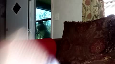 Snapshot of 2ccjbstar chatting on 02-22-26, 04:16 BlacJewels online show from 02-22-26, 04:16