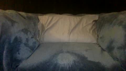 Snapshot of 2hairrypigs chatting on 09-29-25, 10:03 2hairrypigs online show from 09-29-25, 10:03