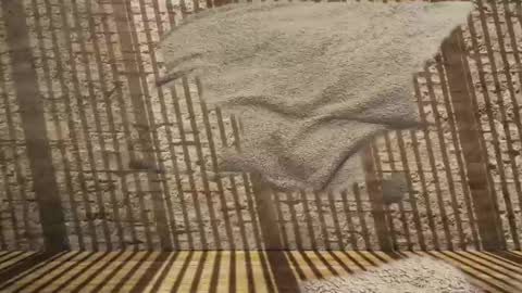 2hairrypigs online show from 01-31-26, 07:23