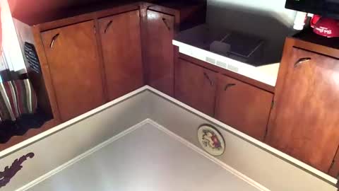 33adidas online show from 11-08-25, 11:54