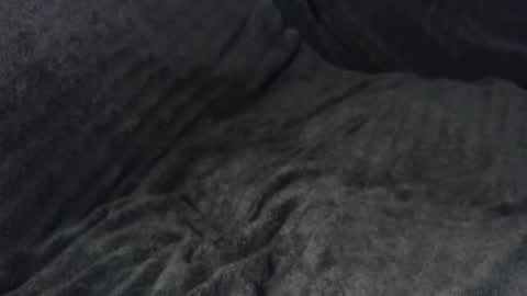 Snapshot of 4playcums4u chatting on 11-23-25, 12:10 4playCums4u online show from 11-23-25, 12:10