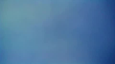 Snapshot of 55mnc chatting on 09-27-25, 08:25 Joe online show from 09-27-25, 08:25