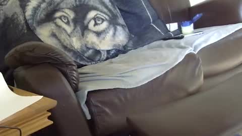 Snapshot of 66bear chatting on 03-09-26, 12:53 66bear online show from 03-09-26, 12:53