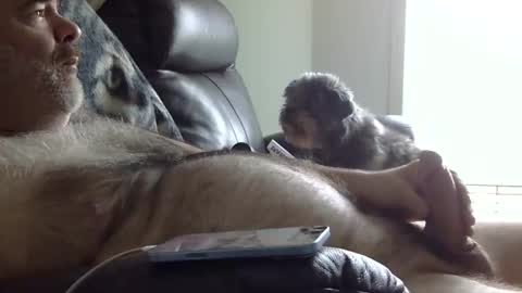 66bear online show from 05-31-26, 02:24