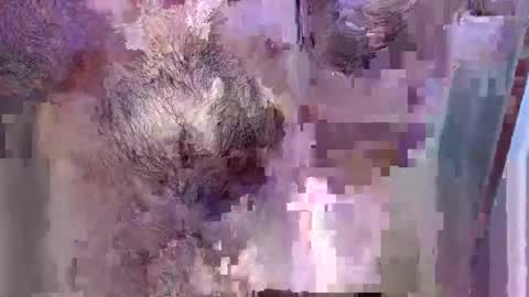 Snapshot of 69bidam chatting on 12-14-25, 02:11 69bidam online show from 12-14-25, 02:11