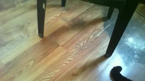 Snapshot of 69forever453443 chatting on 11-14-25, 01:43 69forever453443 online show from 11-14-25, 01:43