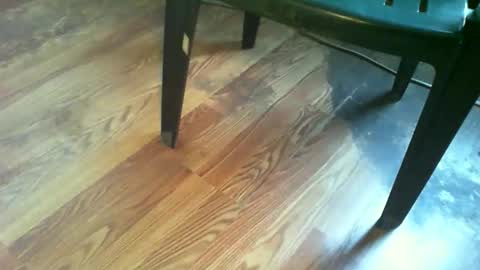 Snapshot of 69forever453443 chatting on 11-19-25, 01:22 69forever453443 online show from 11-19-25, 01:22