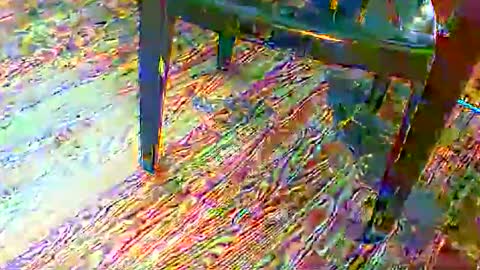 Snapshot of 69forever453443 chatting on 11-24-25, 01:55 69forever453443 online show from 11-24-25, 01:55