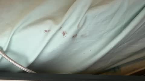 FUCKR online show from 09-12-25, 08:14