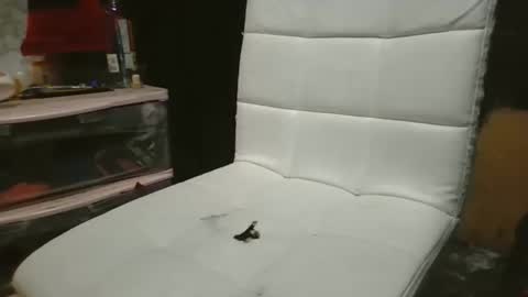 Snapshot of 69meowxxx chatting on 11-03-25, 03:24 69meowxxx online show from 11-03-25, 03:24