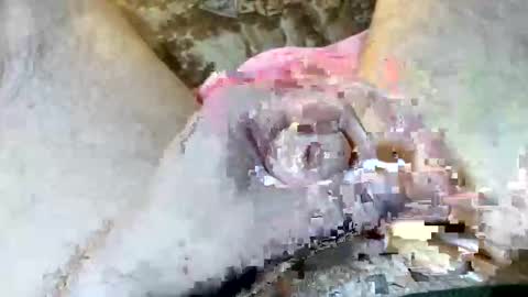 69rumbler online show from 11-06-25, 10:05