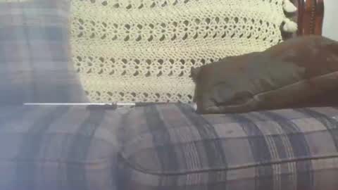 69sextoyboy69 online show from 01-25-25, 03:41