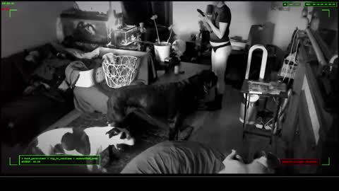 Voyeur Vault online show from 12-17-25, 04:57