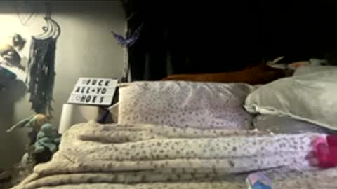 Snapshot of 88heygirlhey88 chatting on 03-06-26, 02:57 That girl online show from 03-06-26, 02:57