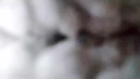 88piterr88 online show from 02-17-25, 08:52