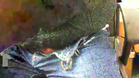 99zeus9 online show from 11-27-25, 01:46