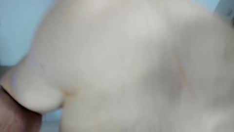 Snapshot of _alex_madrid_ chatting on 01-28-25, 12:54 Alex online show from 01-28-25, 12:54