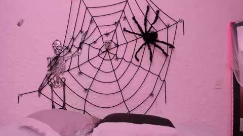 Snapshot of _alexandersawyer_ chatting on 10-22-25, 04:46 Alexander online show from 10-22-25, 04:46