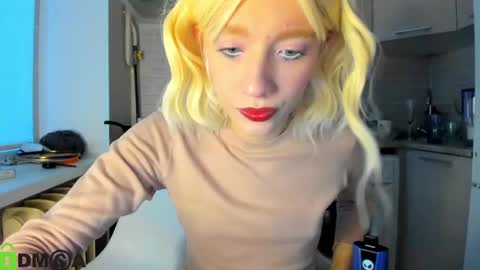 Snapshot of _alice_kitty chatting on 12-16-24, 07:37 Gaylord online show from 12-16-24, 07:37