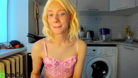 Snapshot of _alice_kitty chatting on 12-18-24, 12:29 Gaylord online show from 12-18-24, 12:29