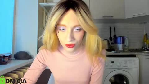 Snapshot of _alice_kitty chatting on 12-23-24, 12:41 Gaylord online show from 12-23-24, 12:41