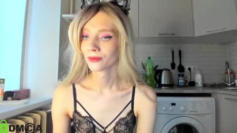 Snapshot of _alice_kitty chatting on 01-28-25, 12:00 Gaylord online show from 01-28-25, 12:00