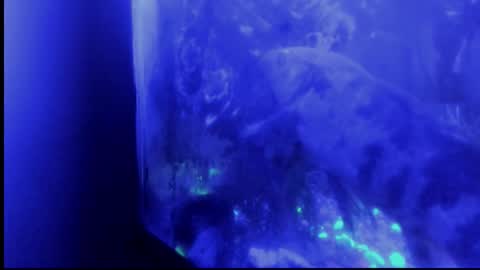 Giulia...... online show from 10-29-25, 04:37