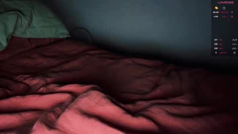 Snapshot of _anise_ chatting on 10-18-25, 03:35 Anise online show from 10-18-25, 03:35