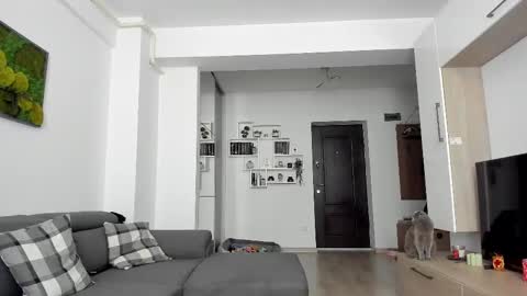 Ariana online show from 02-20-25, 07:45