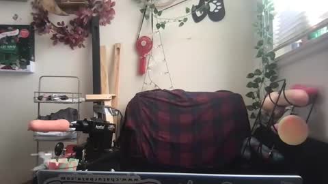 bandit online show from 12-26-24, 03:31