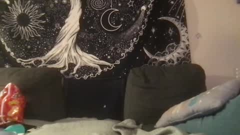 bandit online show from 02-01-25, 02:05