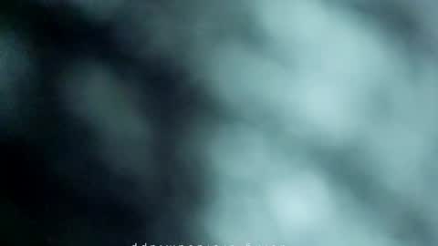 Snapshot of _black_horse_1 chatting on 05-15-26, 11:34 _black_horse_1 online show from 05-15-26, 11:34