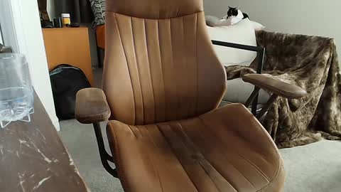 Snapshot of _black_lotus chatting on 02-02-25, 01:34 _black_lotus online show from 02-02-25, 01:34