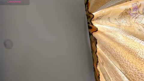 danik online show from 03-11-26, 08:26