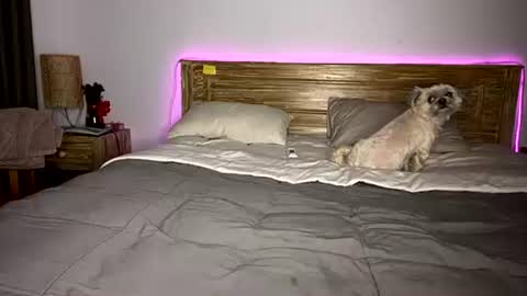 Snapshot of _elisavae chatting on 12-15-25, 08:07 elisa online show from 12-15-25, 08:07