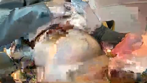 Ginger boy online show from 02-09-25, 10:20