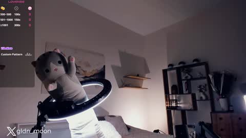 Snapshot of _golden_moon_ chatting on 01-16-25, 10:44 Rina online show from 01-16-25, 10:44