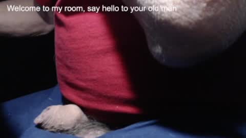 _jimmini online show from 02-21-25, 04:16