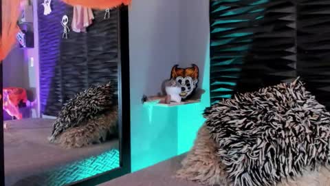 _lustyles_ online show from 10-31-25, 04:02